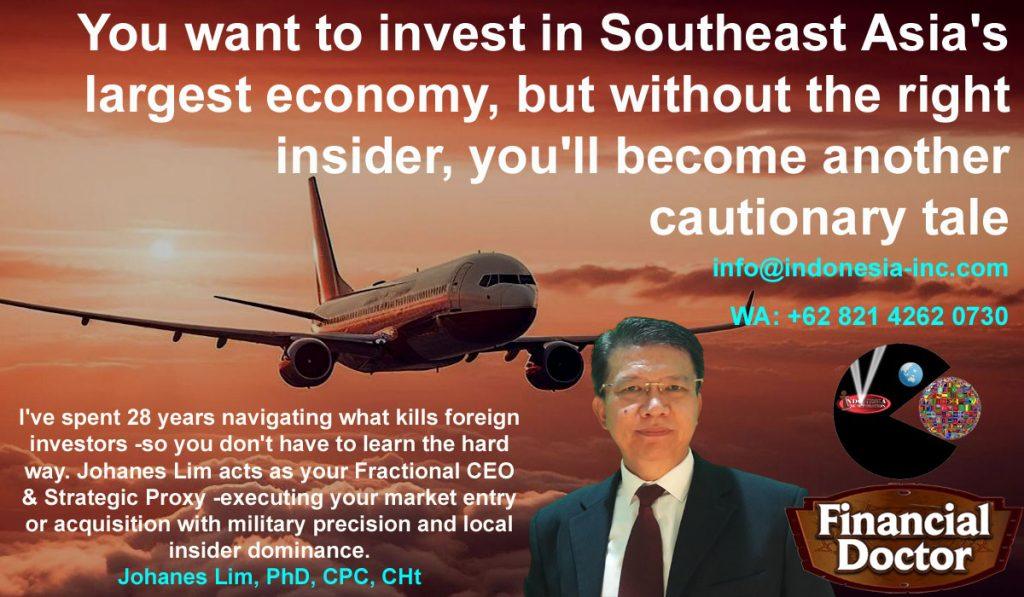 Dr.Johanes Lim, business investment consultant indonesia, business acquisition indonesia, fractional ceo