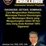 playbooks doctor Johanes Lim, solusi bisnis, profit bisnis, problem bisnis, Financial Doctor