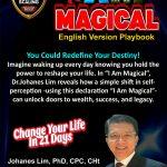 playbooks doctor Johanes Lim, solusi bisnis, profit bisnis, problem bisnis, Financial Doctor